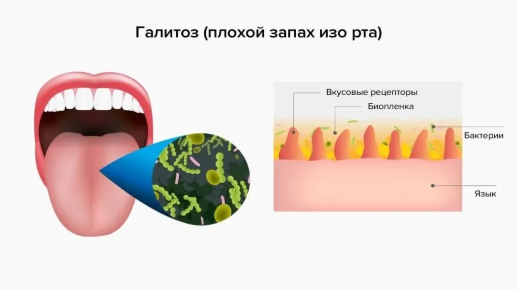 Detoxin istina o - što je to - sastav - sastojci - doziranje - kako koristiti - pakiranje